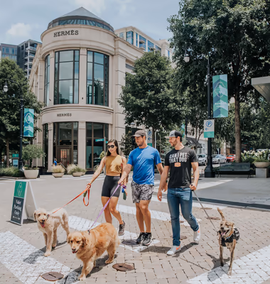 Fetch Park Buckhead photo 2